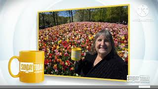 Sunday Today With Willie Geist: Sunday Today Mugshots Of The Week + Closing (4/26/26)
