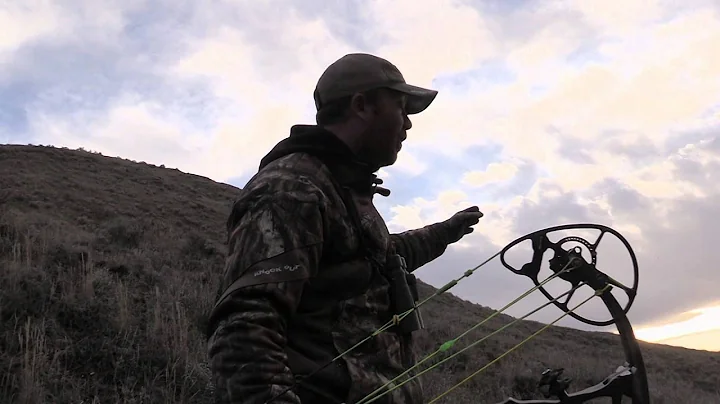 Live 2 Hunt - Live 2 Hunt