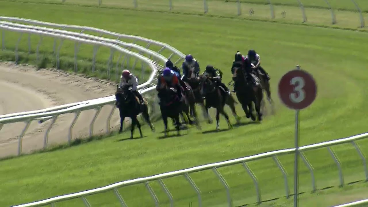 Heat 10   Doomben Jumpouts 0212