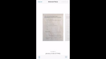 Assignment Submission   File Upload Text Entry