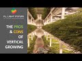 Webinar- The Pros and Cons of Vertical Growing