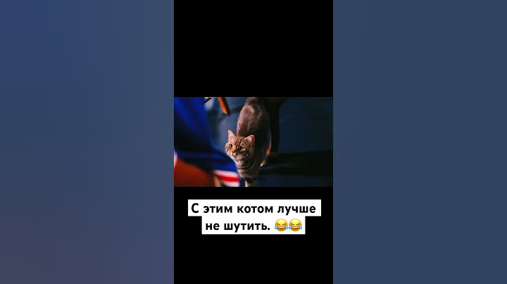 С этим котом лучше не шутить 😅😂 #кино #юмор #смех #фильм