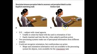 Chapter 6 Object Recognition Profile