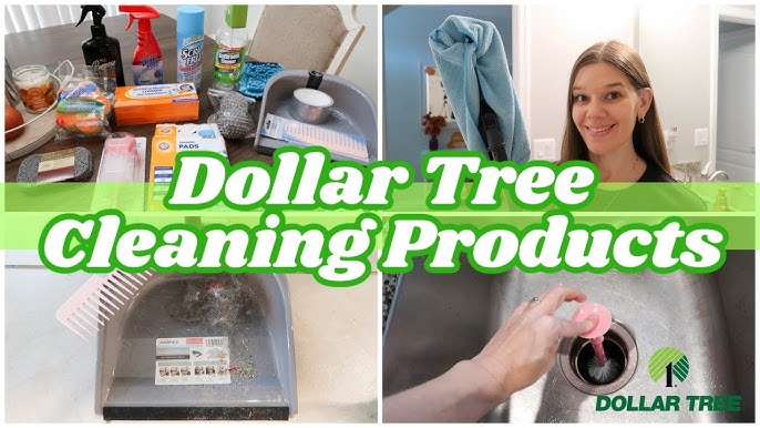 35+ Best Mom-Approved Dollar Tree Cleaning Supplies