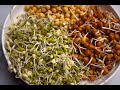 This sprouts recipe improves digestion and good for gut health   pesarattu  sharmilazkitchen
