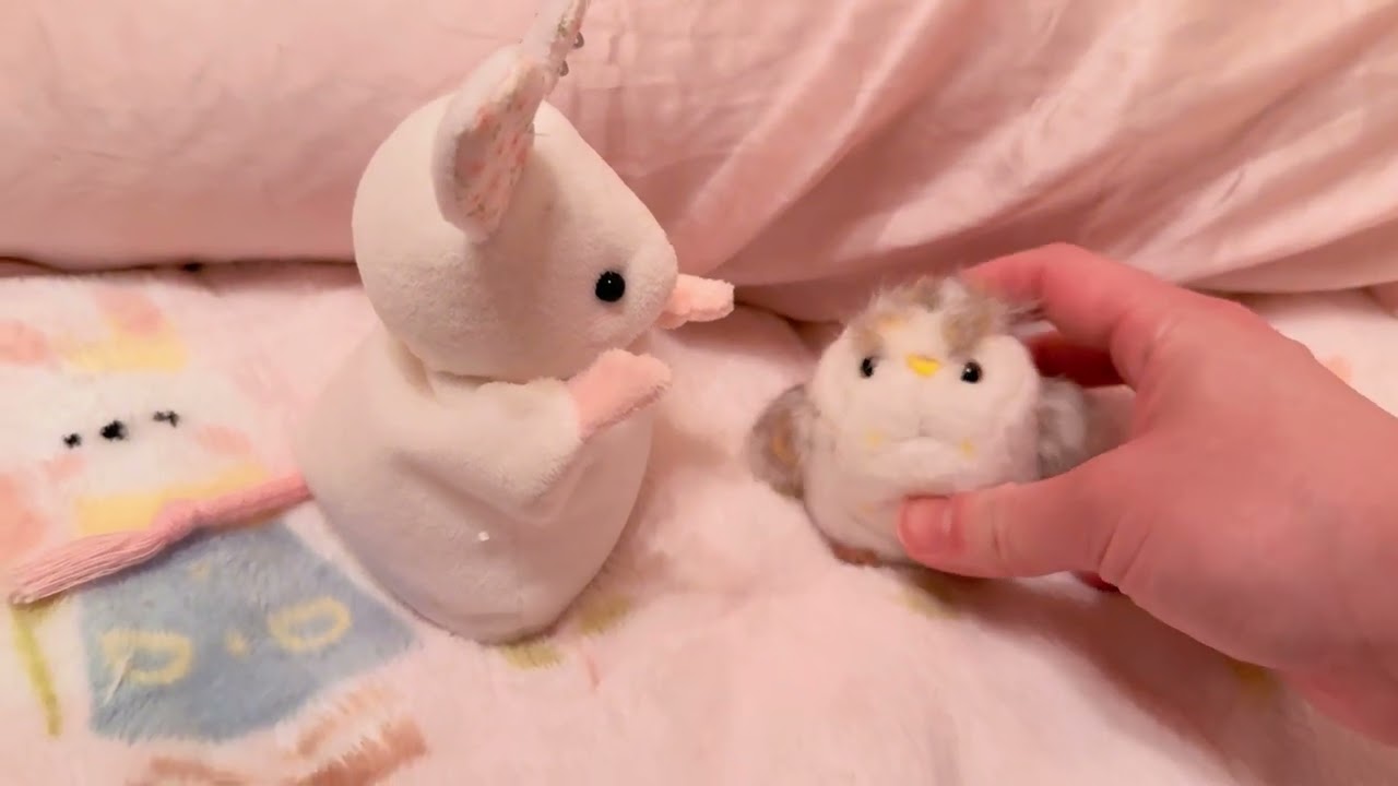 ほんとになんでもない日