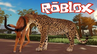 SAVANNAH LIFE from ROBLOX! LARGE GROUP OF HUNGRY LEOPARDS! #roblox #savannahlife screenshot 4