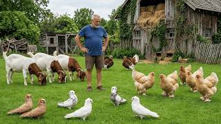 Peaceful Farm Life - Caring for Livestock & Simple Country Life