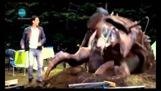Primeval Future Creatures (Including Series 5)