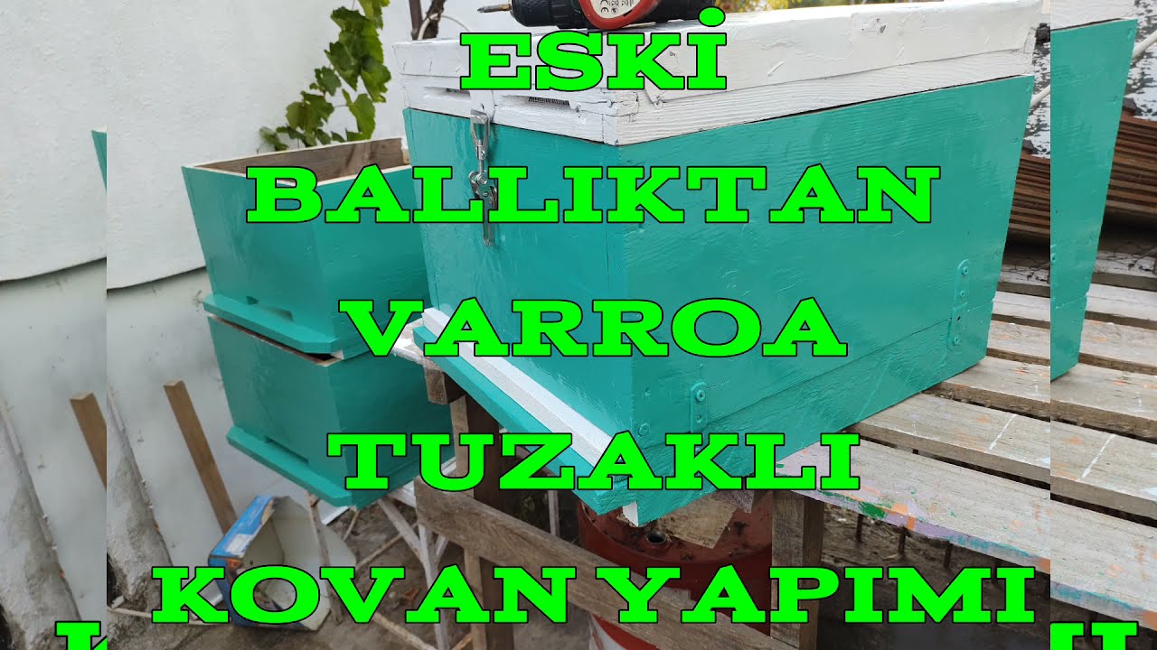 VARROA TUZAKLI KOVAN NASIL YAPILIR ?