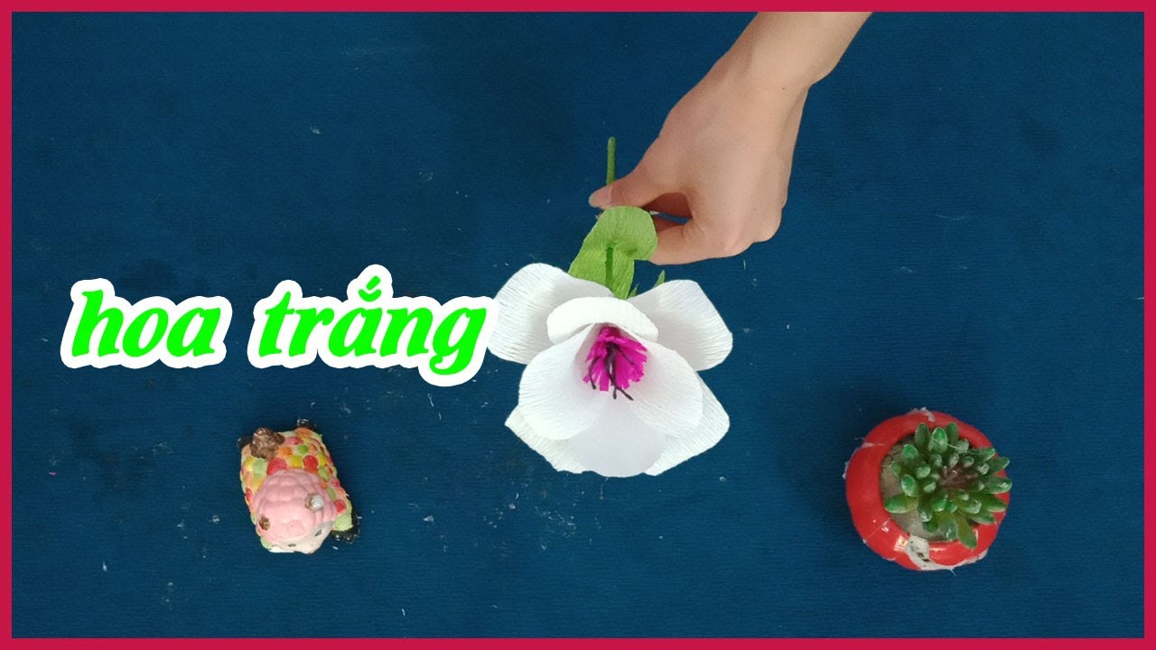 những cánh hoa màu trắng nhỏ với nhiều hình thái và... - youtube