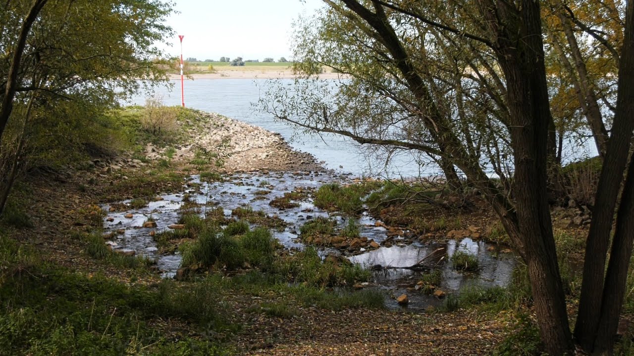 Am Rhein bei Voerde 2021 - Teil 2 - zwischen Emschermündung und Götterswickerhamm