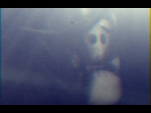 Found Footage Super 8 Reel 56.23584.326: Fragment 22D
