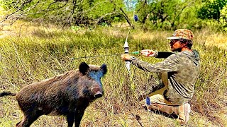 Hunting With Amazon’s Cheapest Bow & Arrow (Catch & Cook) screenshot 5