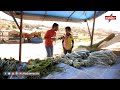 الميدان 5 ميدان الطفولة الحلقة الثالثة والعشرون رمضان 2020 