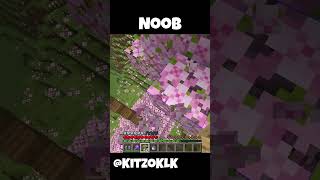 Noob VS Pro #minecraft #deutschegamer #minecraftdeutsch #gaming #foryou #witzig #noobvspro #vs #