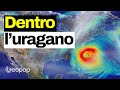 Come si forma un uragano? Il fenomeno visto dall'interno e la differenza con cicloni e tifoni
