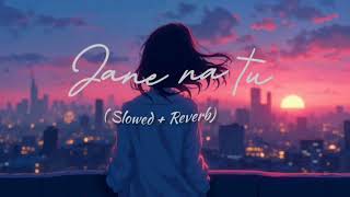 Jane na tu (Slowed + Reverb)- PCDNX | lo-fi music #lofimusic #slowedandreverb #chillbeats