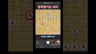 [한국장기는 차다] 중복수로 위기가 ... ! #장기 #게임 #귀마 #원앙마 #외통수
