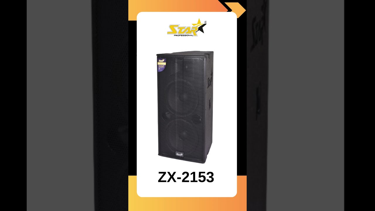 【送料無料キャンペーン】 is ZX-2153 professional Star a RMS 1000Watt high-quality パック・フェイスマスク