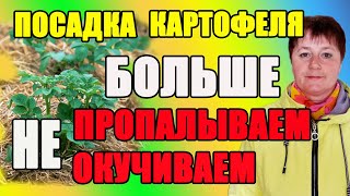 1.Как сделать землю плодородной  и мягкой. 2. Больше не окучиваем и не пропалываем картофель .