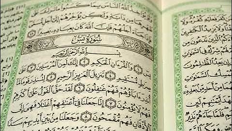 الشيخ رشيد القليب ماتيسر من سورة يس.