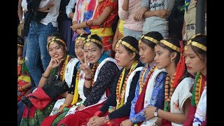 Rahar Bhanda Thulo K chha ra || KAURA - STEP BY STEP || NGOLSYO KO FUL BUTTE CHOLI MA