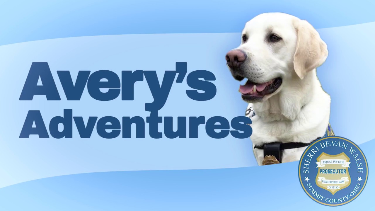 Avery's Adventure | Summit County Ohio