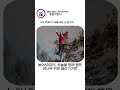 나무 위에서 738일 버틴 여자