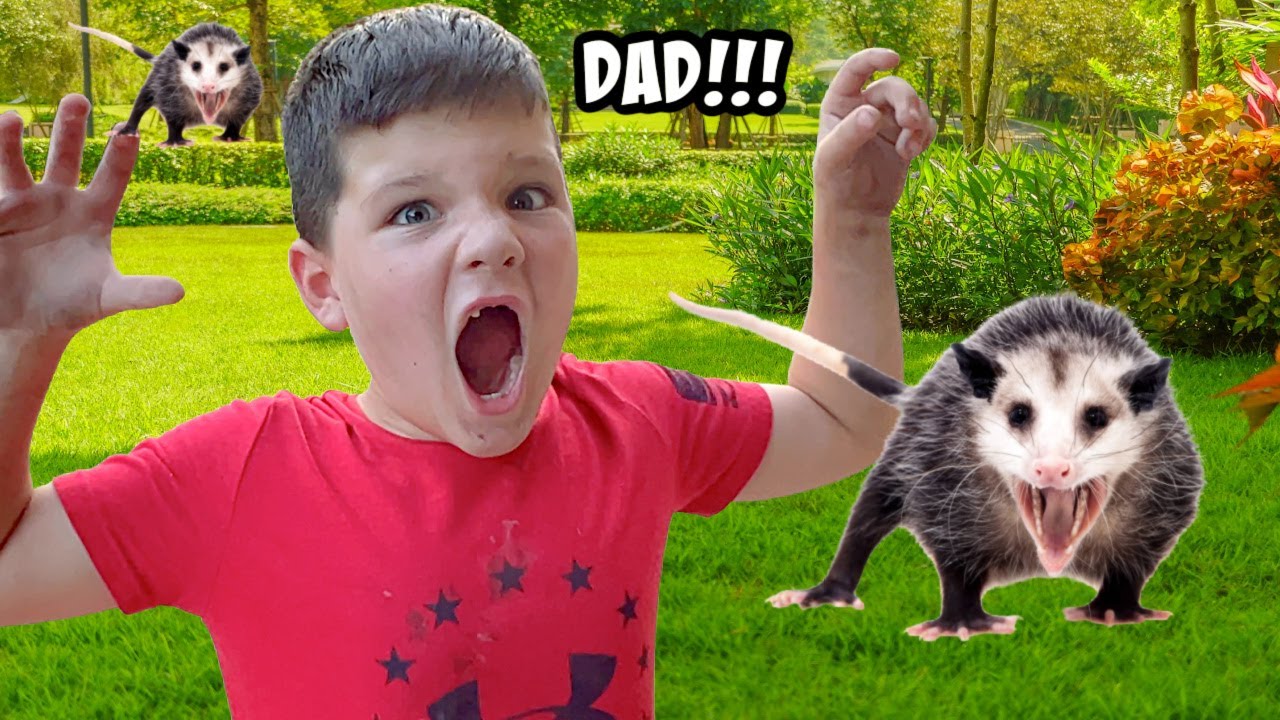 In Our Backyard Meaning In Our Backyard Meaning