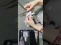 Ножницы для стрижки животных собак и кошек обзор