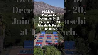 Pickleball Pro Weeks. Decmerb 6 -13 & 13- 20
