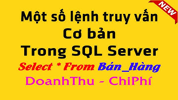 Các câu lệnh truy vấn SQL cơ bản dành cho người đã biết Excel | NT Software