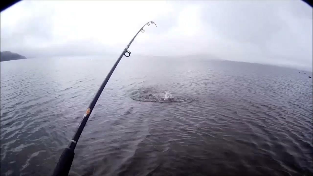 NEW ZEALAND TROUT FISHING GOLLY GOSH 21 YouTube