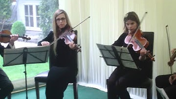 String Octet