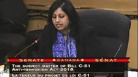 CCLA testifies at Senate Committee on Bill C-51