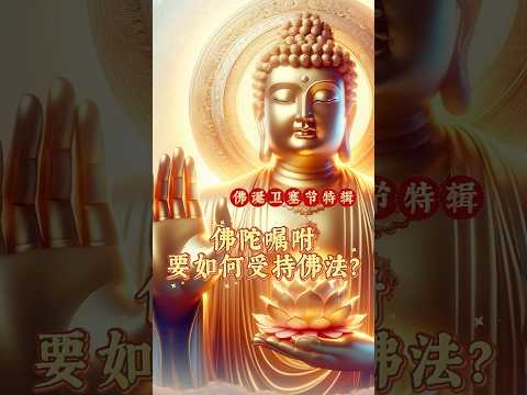 佛陀嘱咐要如何受持佛法? | 净本法师开示