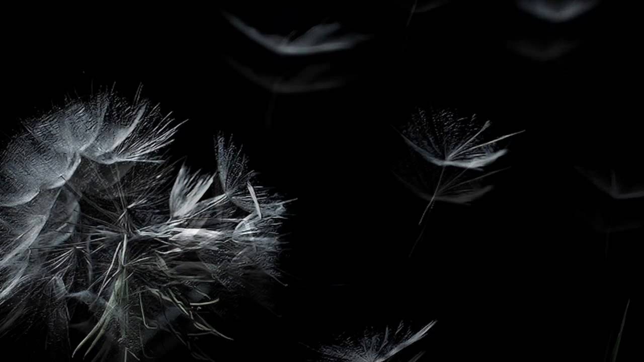 michal lorenc wyjazd z polski michal lorenc wyjazd z polski