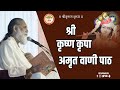 Shri krishna kripa amrit  swami gyananand ji maharaj