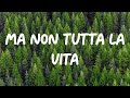 Ricchi e Poveri – Ma non tutta la vita (Sanremo 2024) - Testo/Lyrics