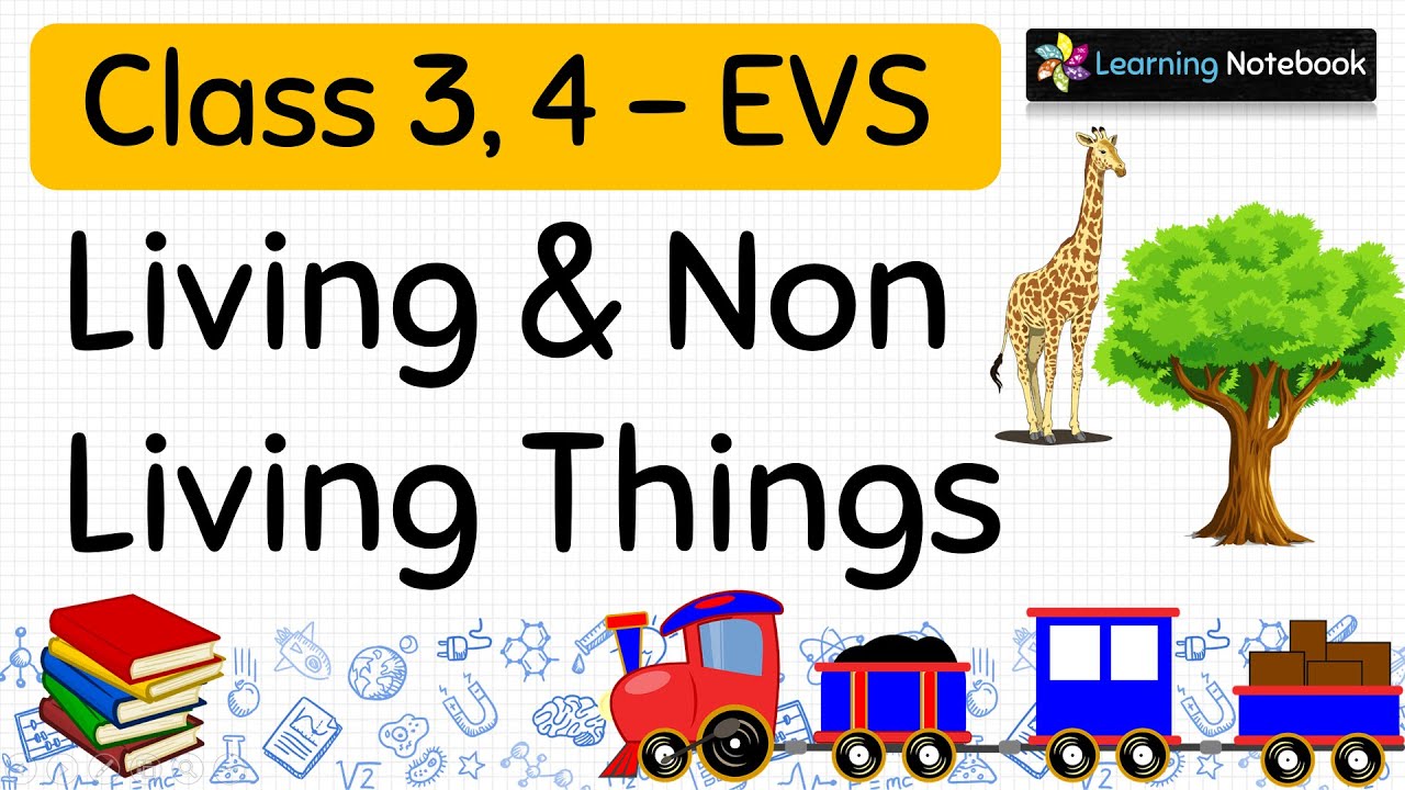 Living and Non Living Things Class 3, 4 (Complete Chapter) - YouTube
