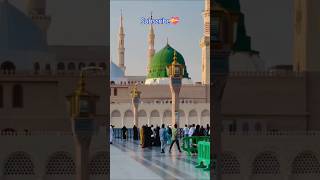 Subhan Allah 💚 | Beautiful Islamic Status ✨ #shorts