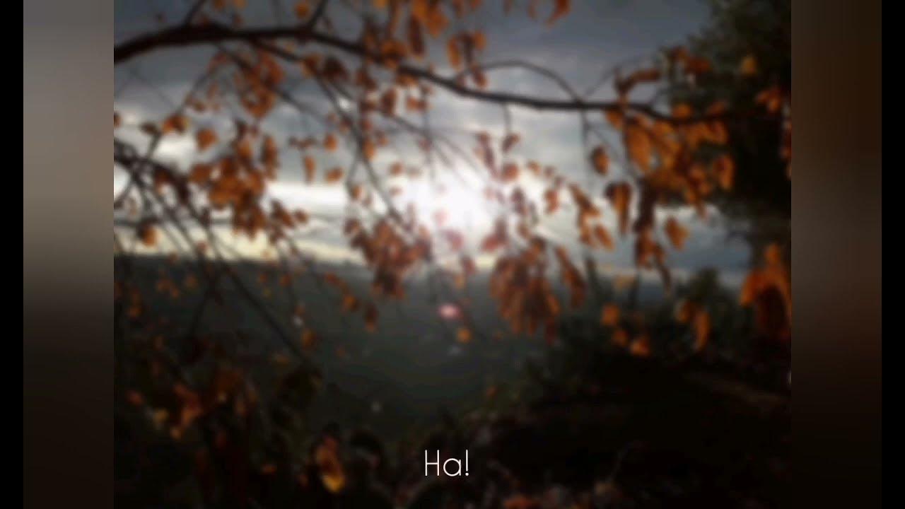 Eminem Scars (Lyrics) 2023 YouTube