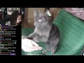 End of video