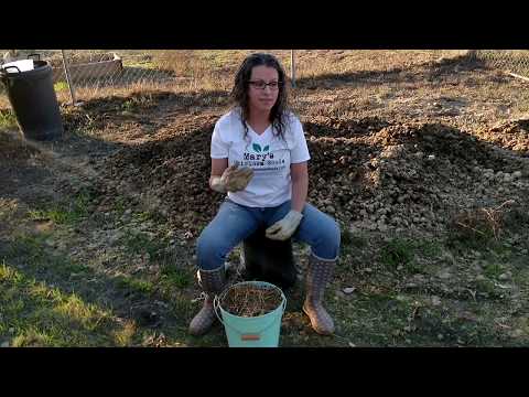 Βίντεο: Goat Manure Fertilizer: Goat Manure In The Garden