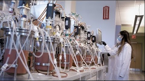 Introduction to Cell Culture Development at Regeneron by Shawn Lawrence