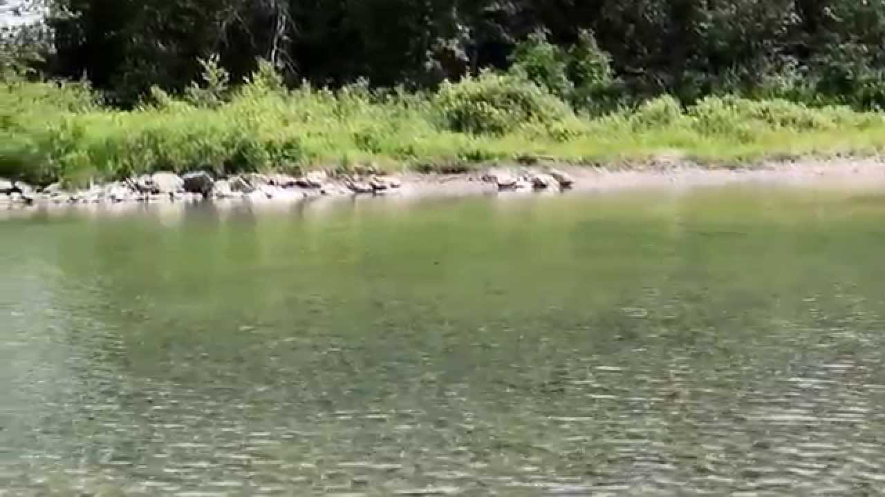 rivière petitpabos.........gaspésie.... YouTube