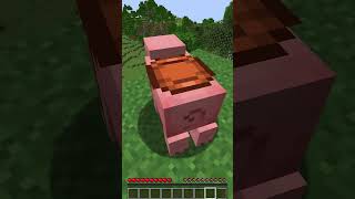 How To Fly Two People On One Elyra? #Shorts #Minecraft #Hack
