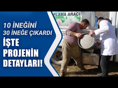 10 İneğini 30 İneğe Çıkardı! \