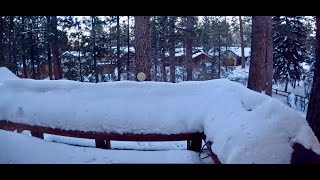 Major Winter Storms (2 perspectives/ locations) TimeLapse of the MANY days of #snow 2/12/9/24